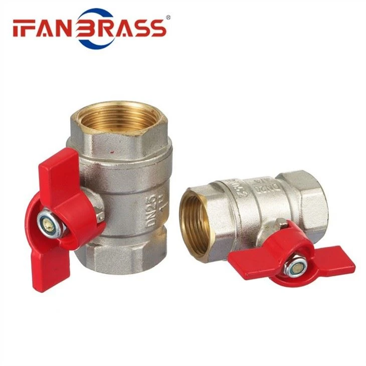 Butterfly Valve