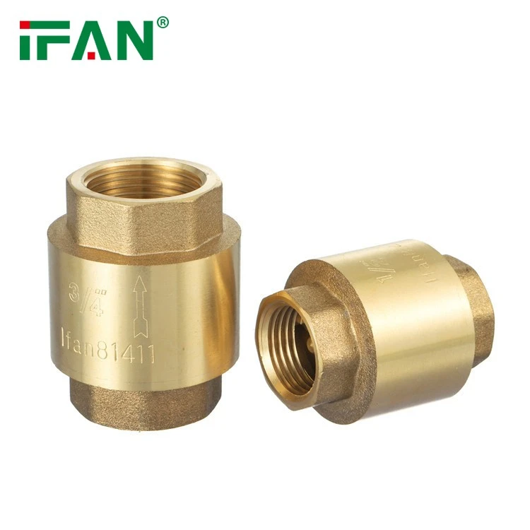 Brass Check Valve (3)