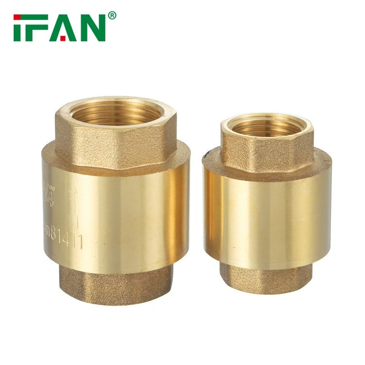 Brass Check Valve (4)