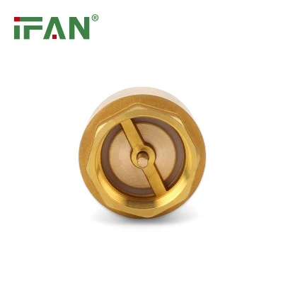 Spring Brass Check Valve Spring Brass Check Valve